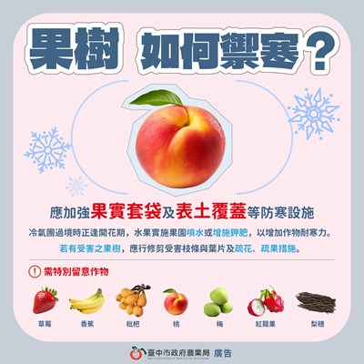 果樹如何禦寒?